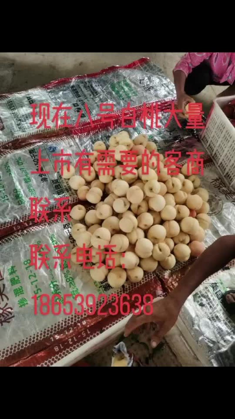 油桃