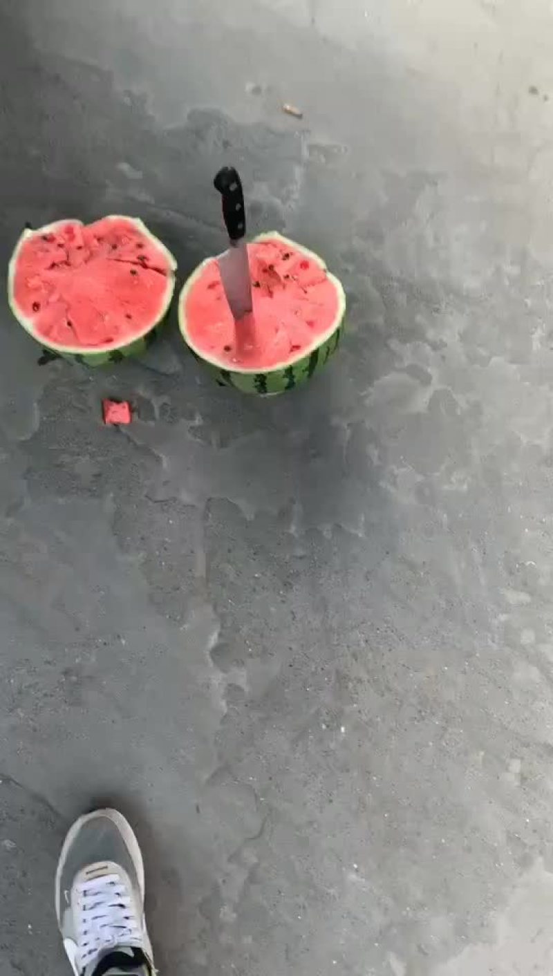 8424西瓜8斤起摘
