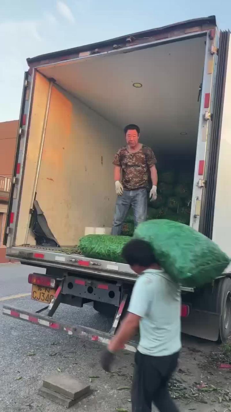 青蚕豆