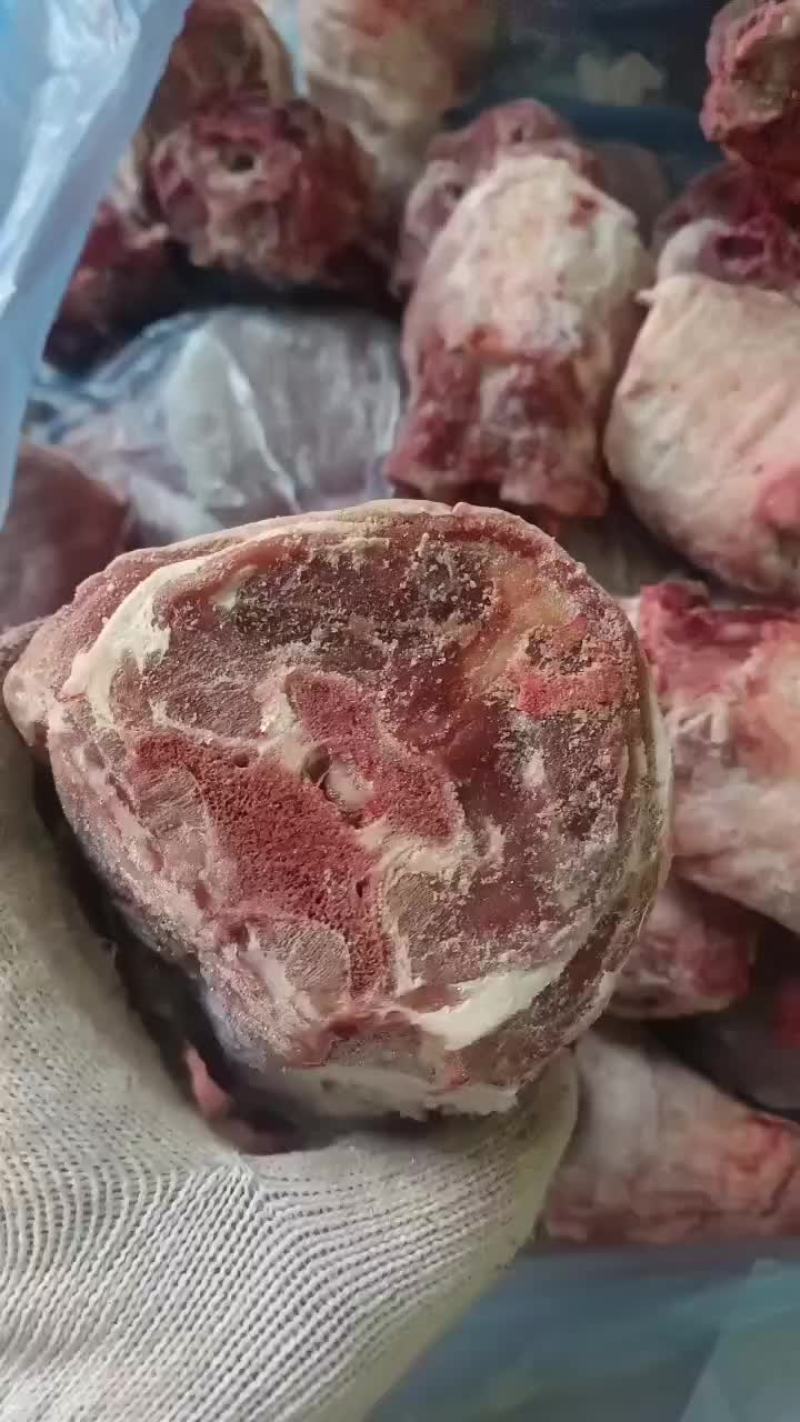 羔羊满肉羊脖