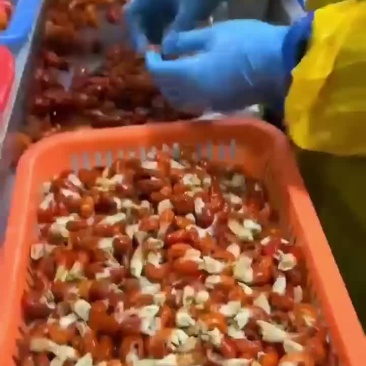 工厂虾尾