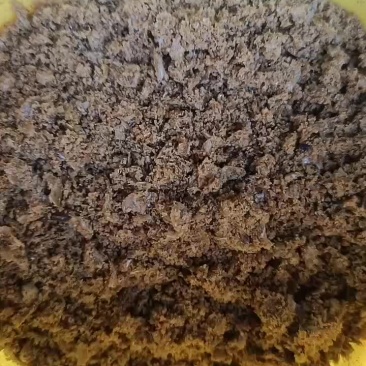 牛羊饲料