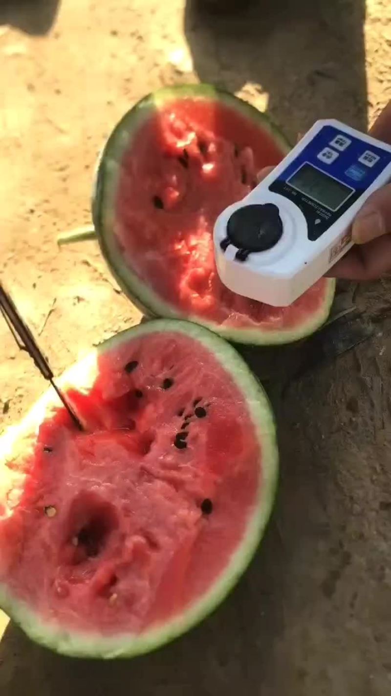 精品甜王