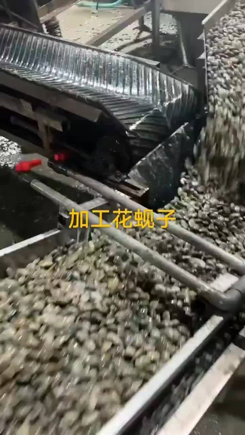 花蚬子