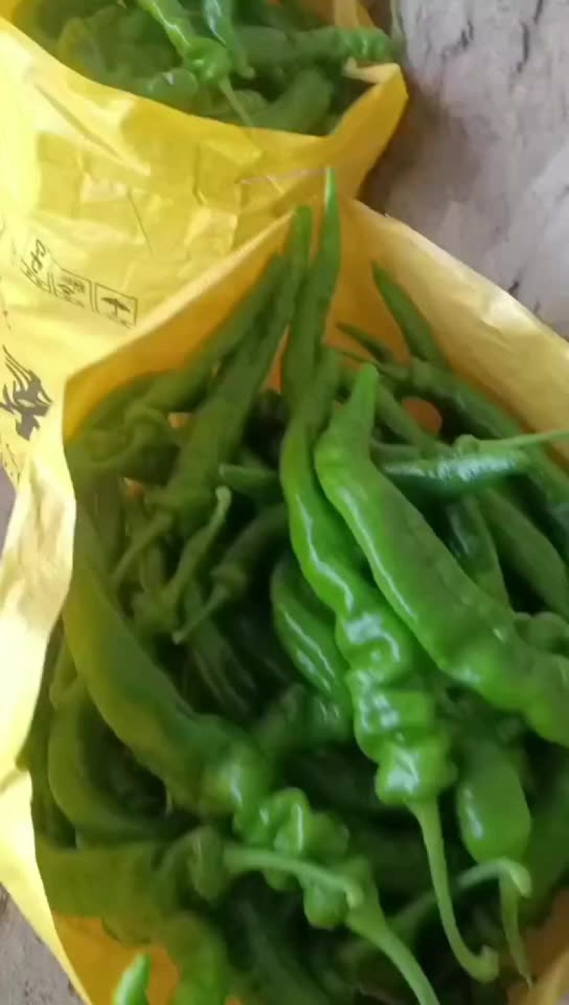 精品陇椒