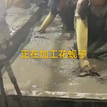 花蚬子