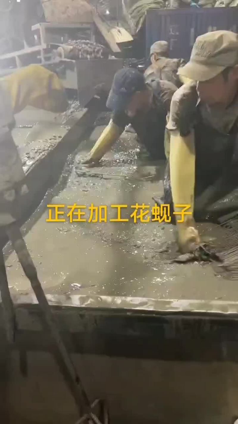 花蚬子