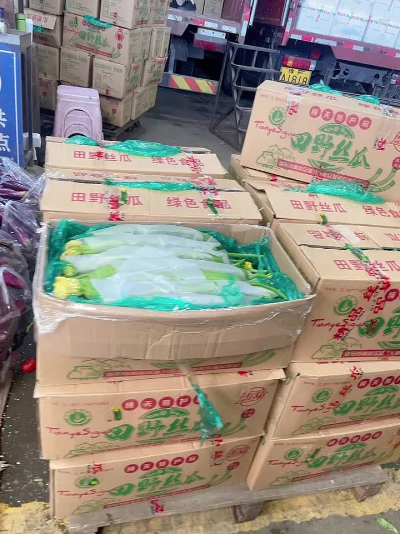 河南丝瓜鲜花丝瓜纸箱无瓶