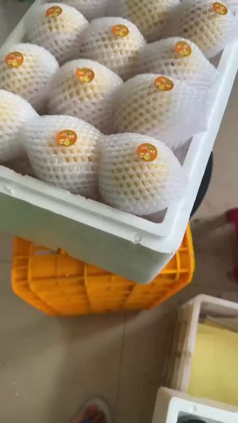 我是石林红丰源人参果种植发展合作社
