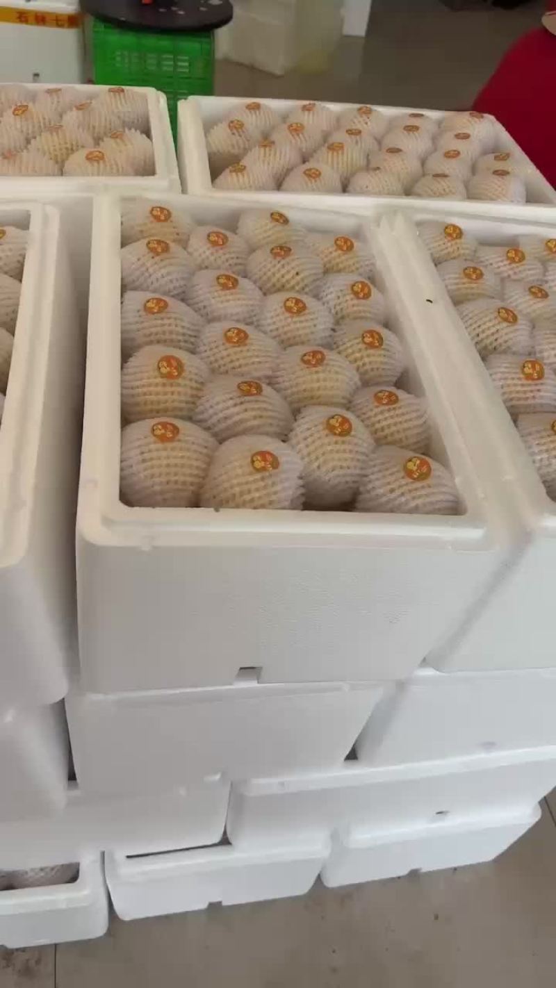 我是石林红丰源人参果种植发展合作社