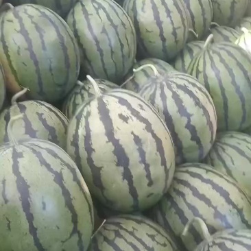 西瓜