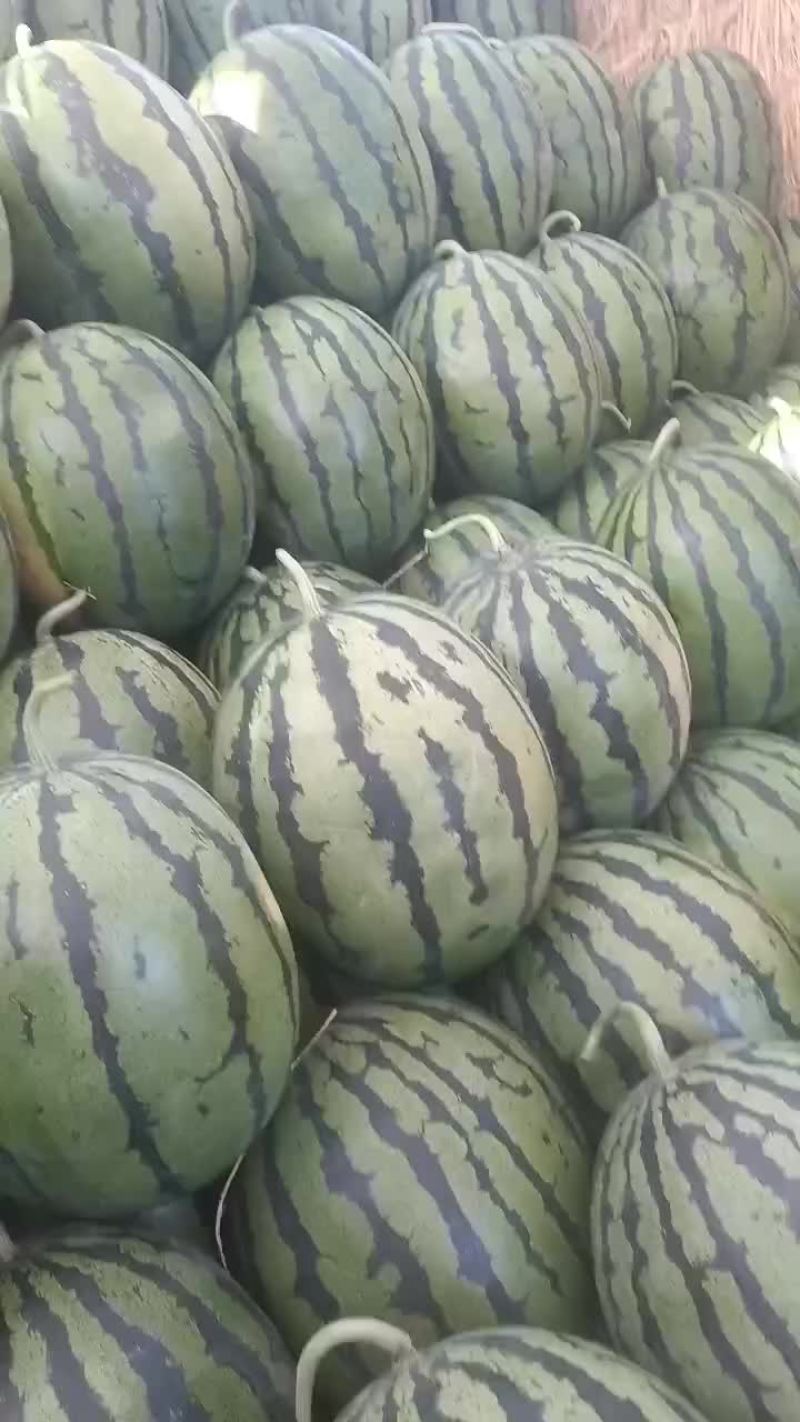 西瓜