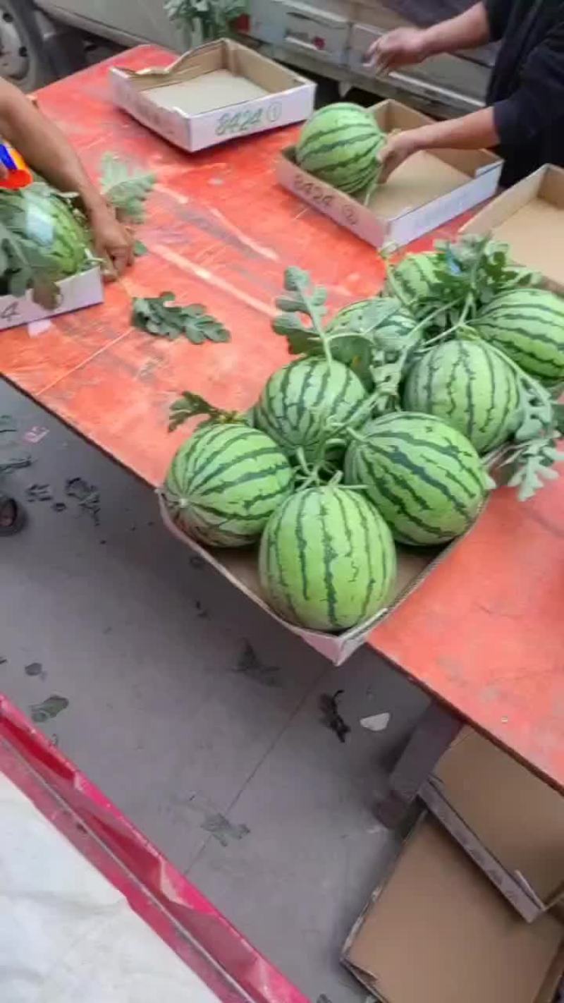 美都西瓜头茬瓜果园基地直发产地代办一手货源