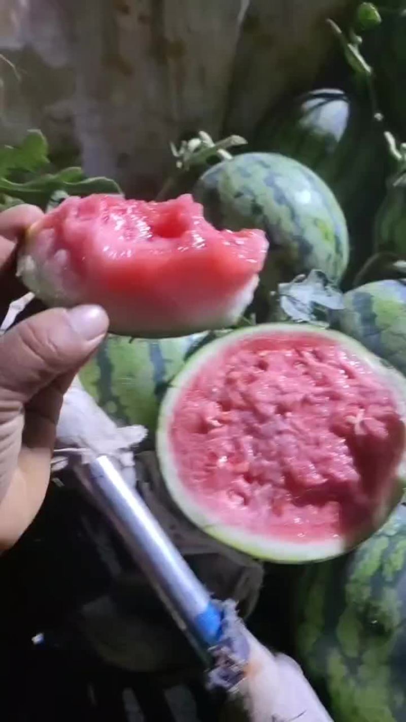 美都西瓜头茬瓜果园基地直发产地代办一手货源