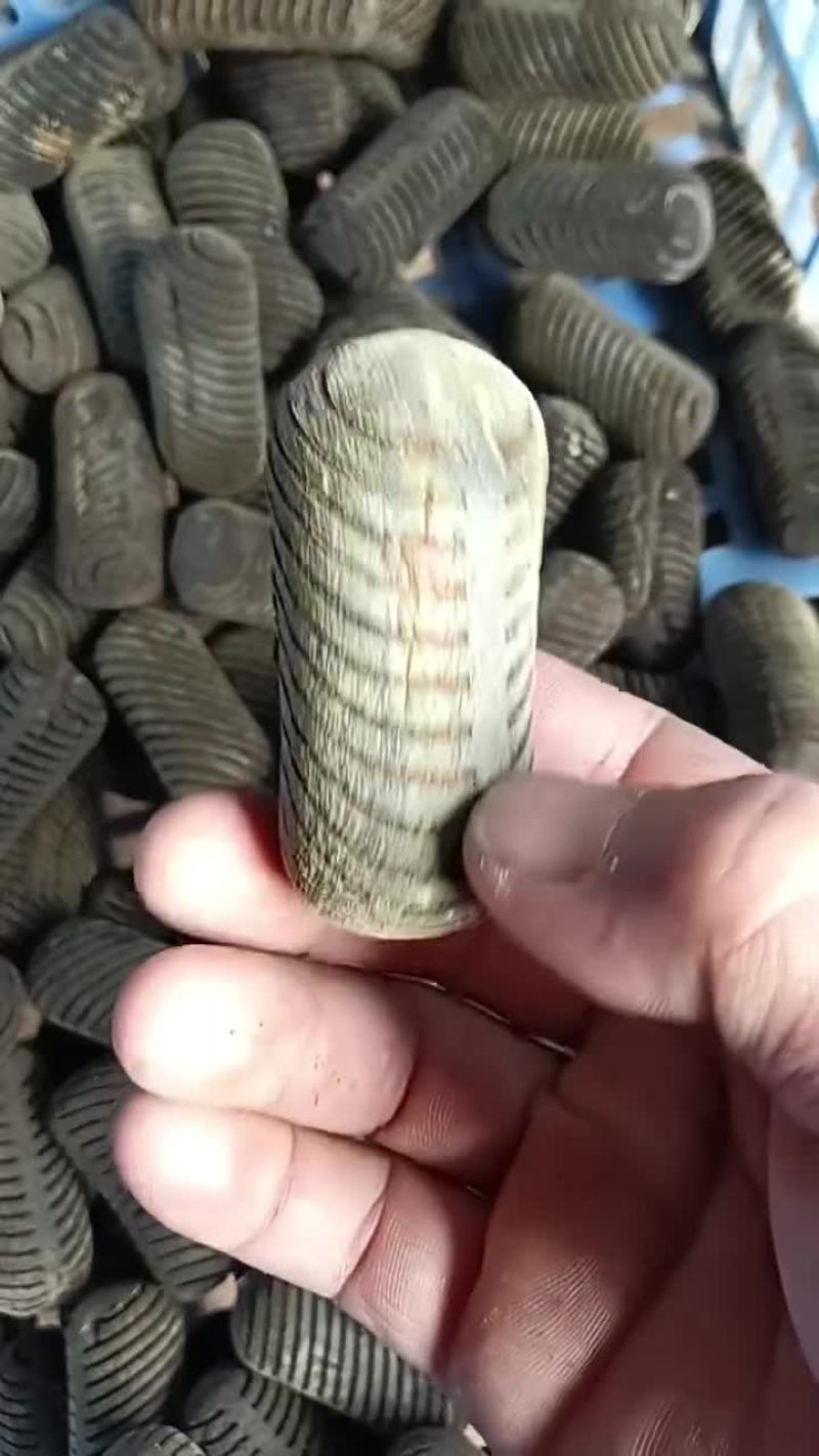 橘红