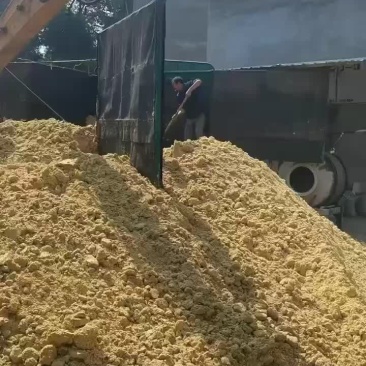 发酵玉米渣