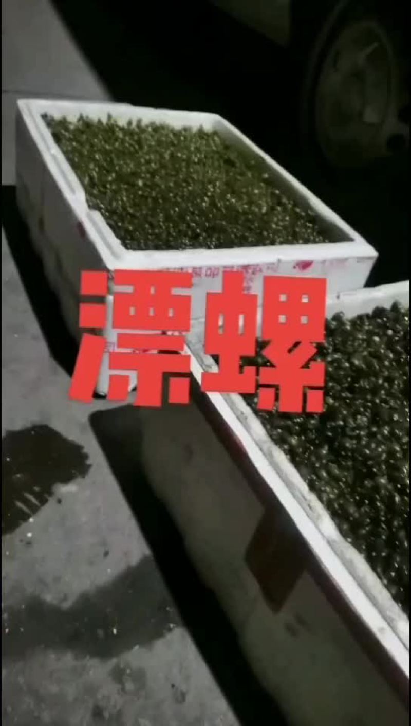 飘螺