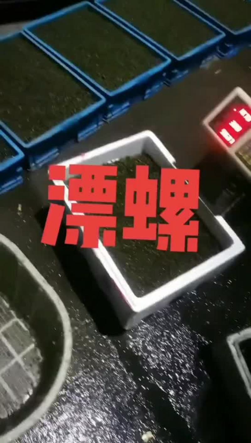 飘螺