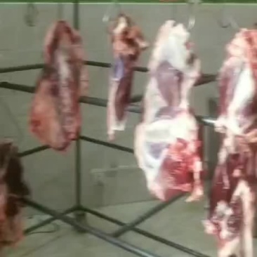 生态鲜黄牛肉