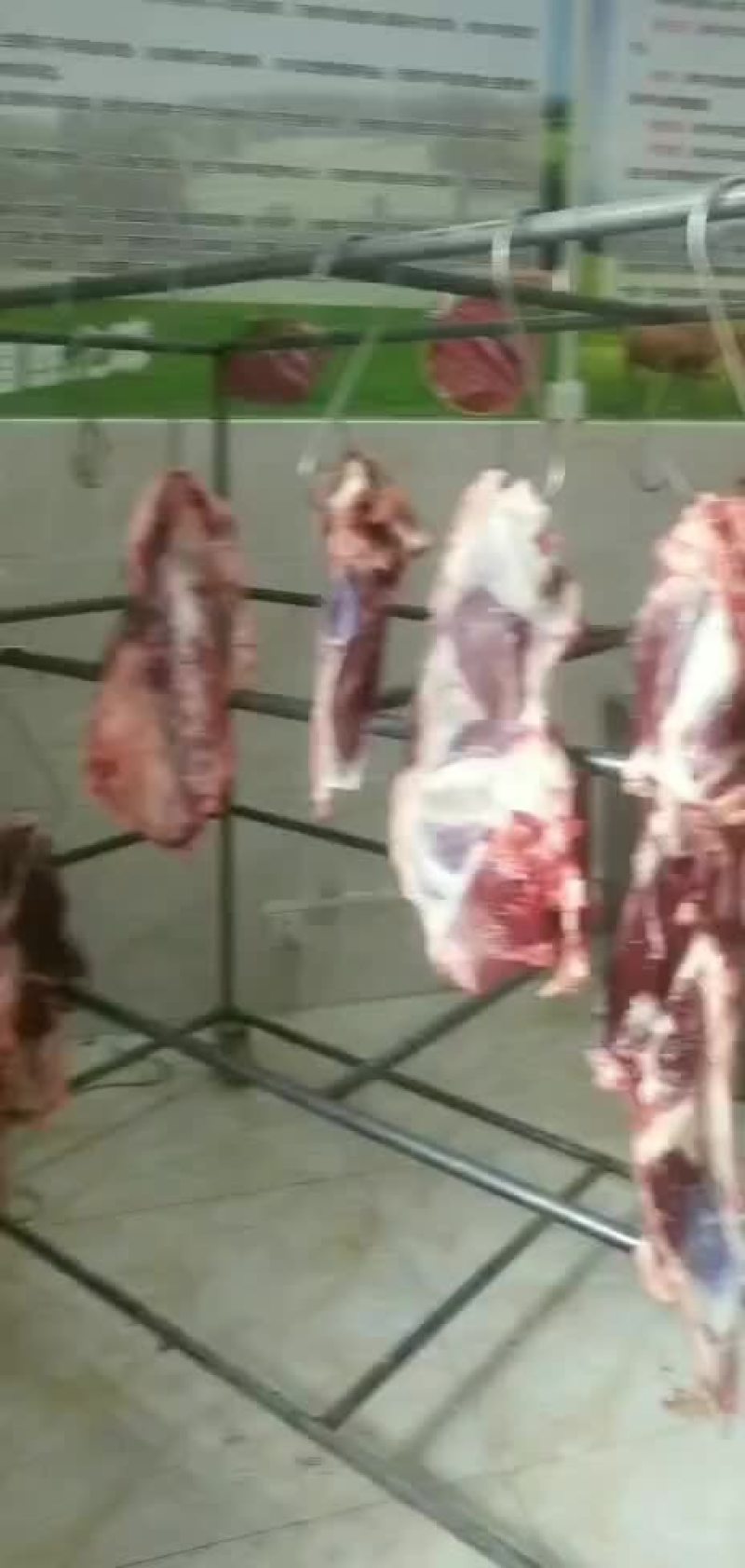 生态鲜黄牛肉