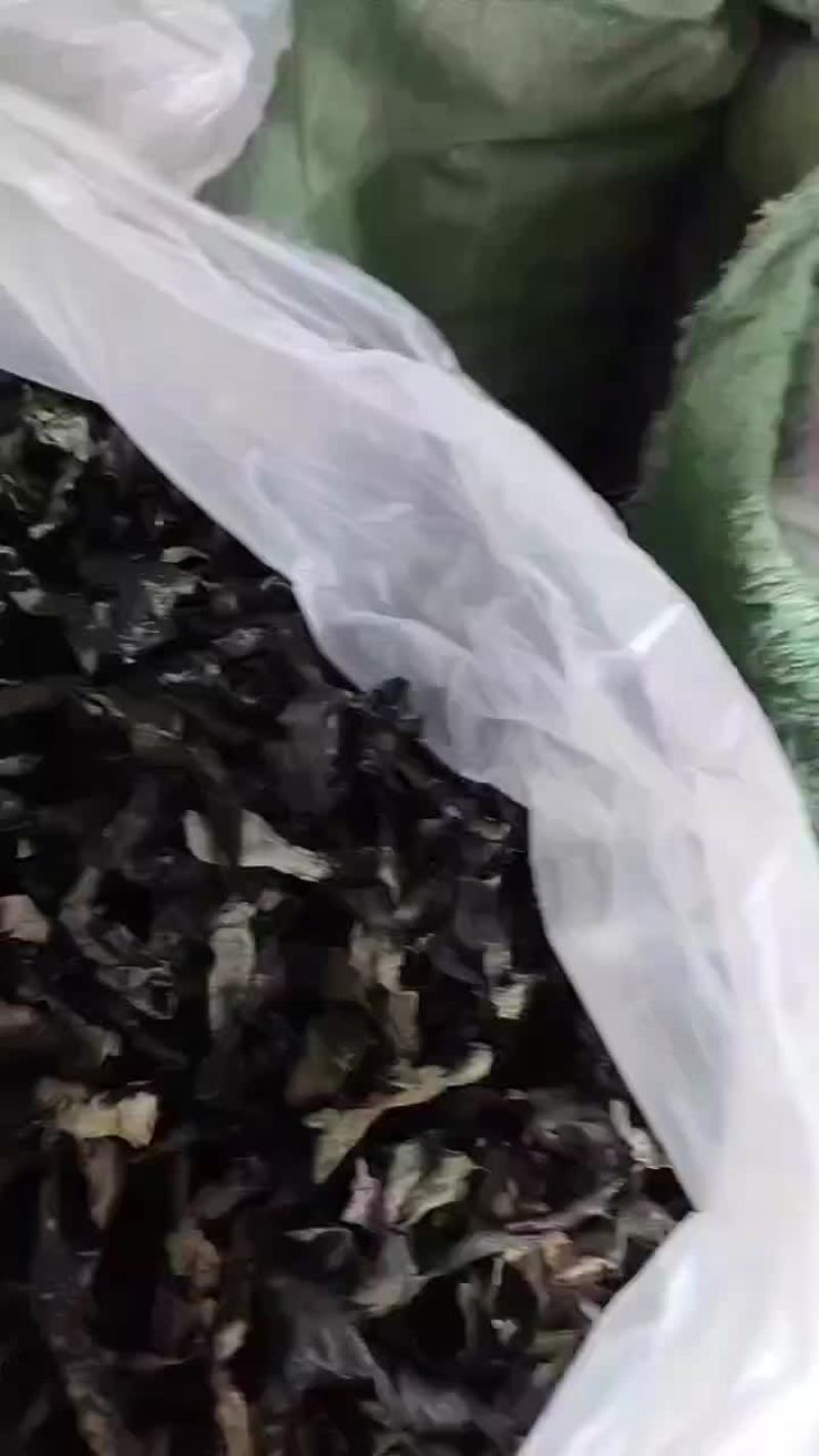 烘干海带扣