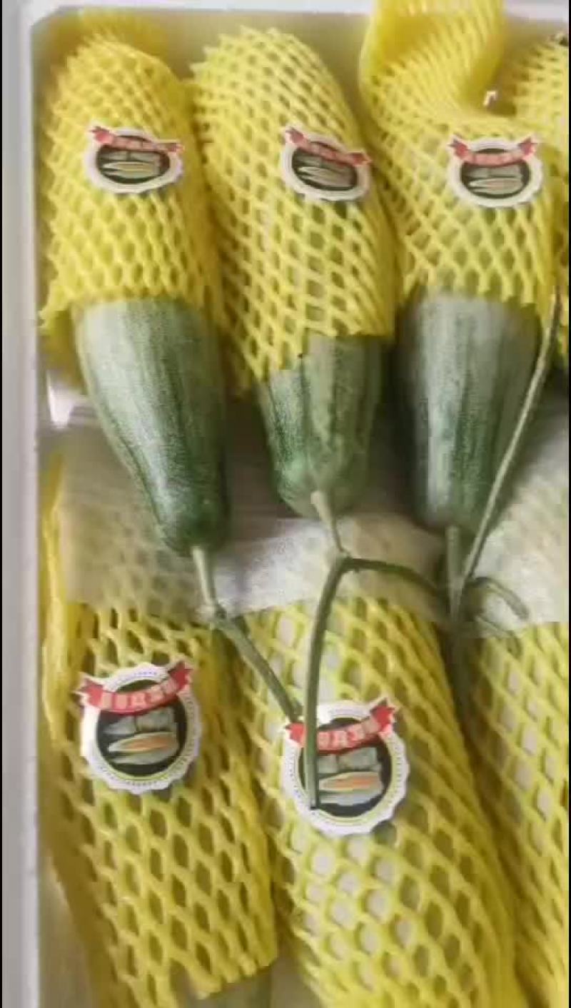产地直发，货源充足，大量供应，量大优惠