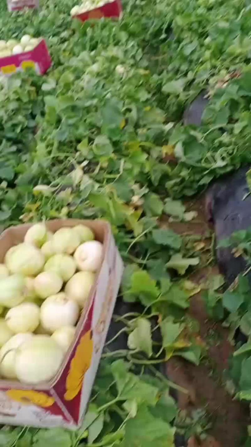 各位老板，有需要的给我联系