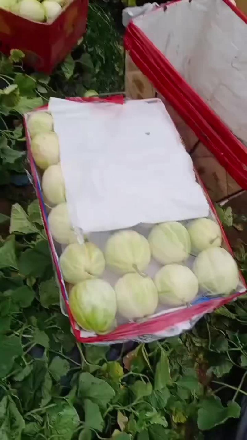 各位老板，有需要的给我联系