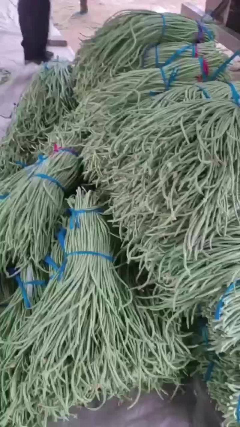 长豆角