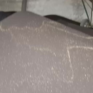本地的油菜籽大量上市了有看到的朋友联系