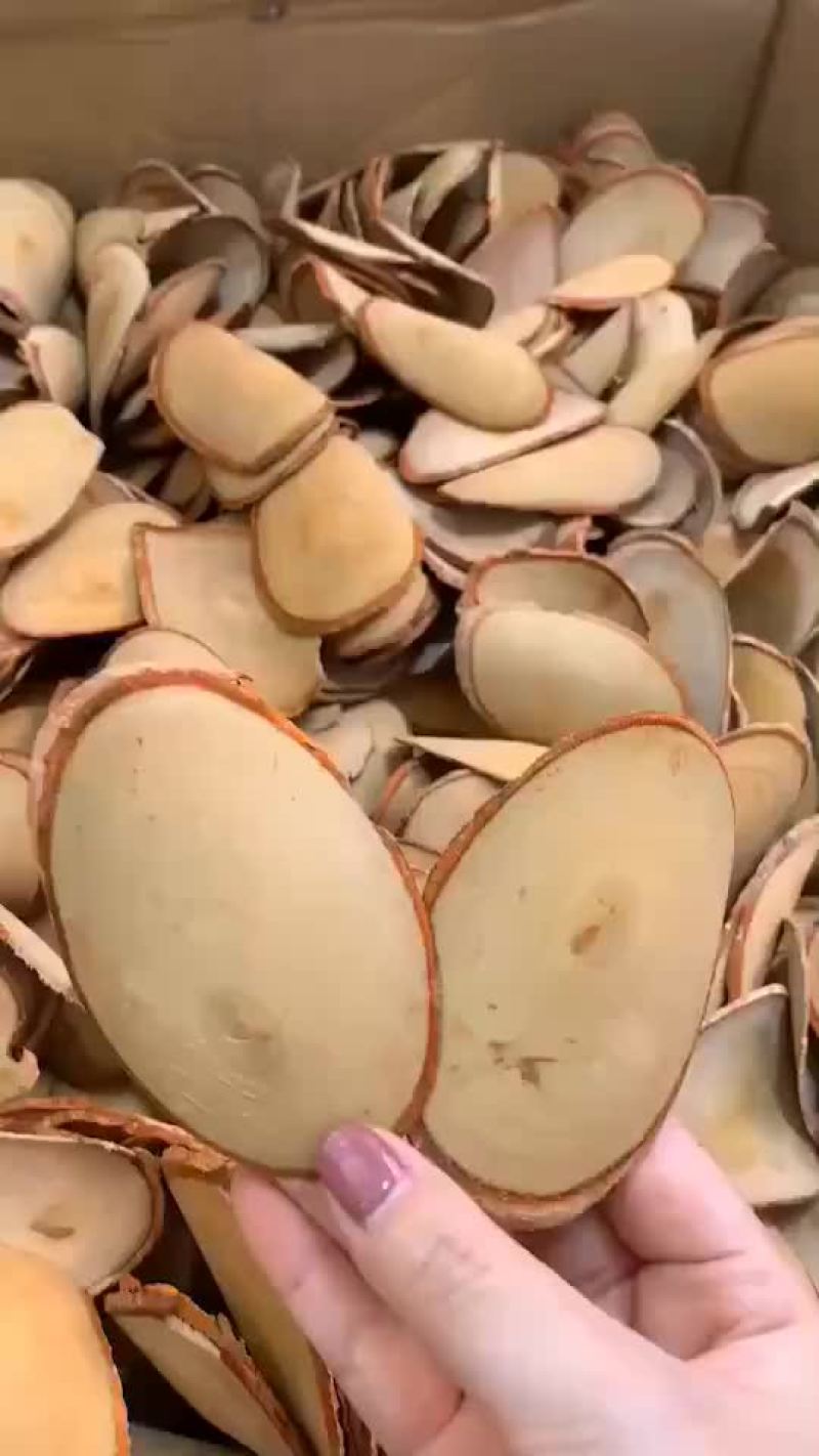 马来西亚红东革阿里