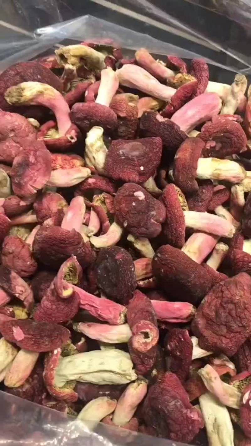 广西红菇