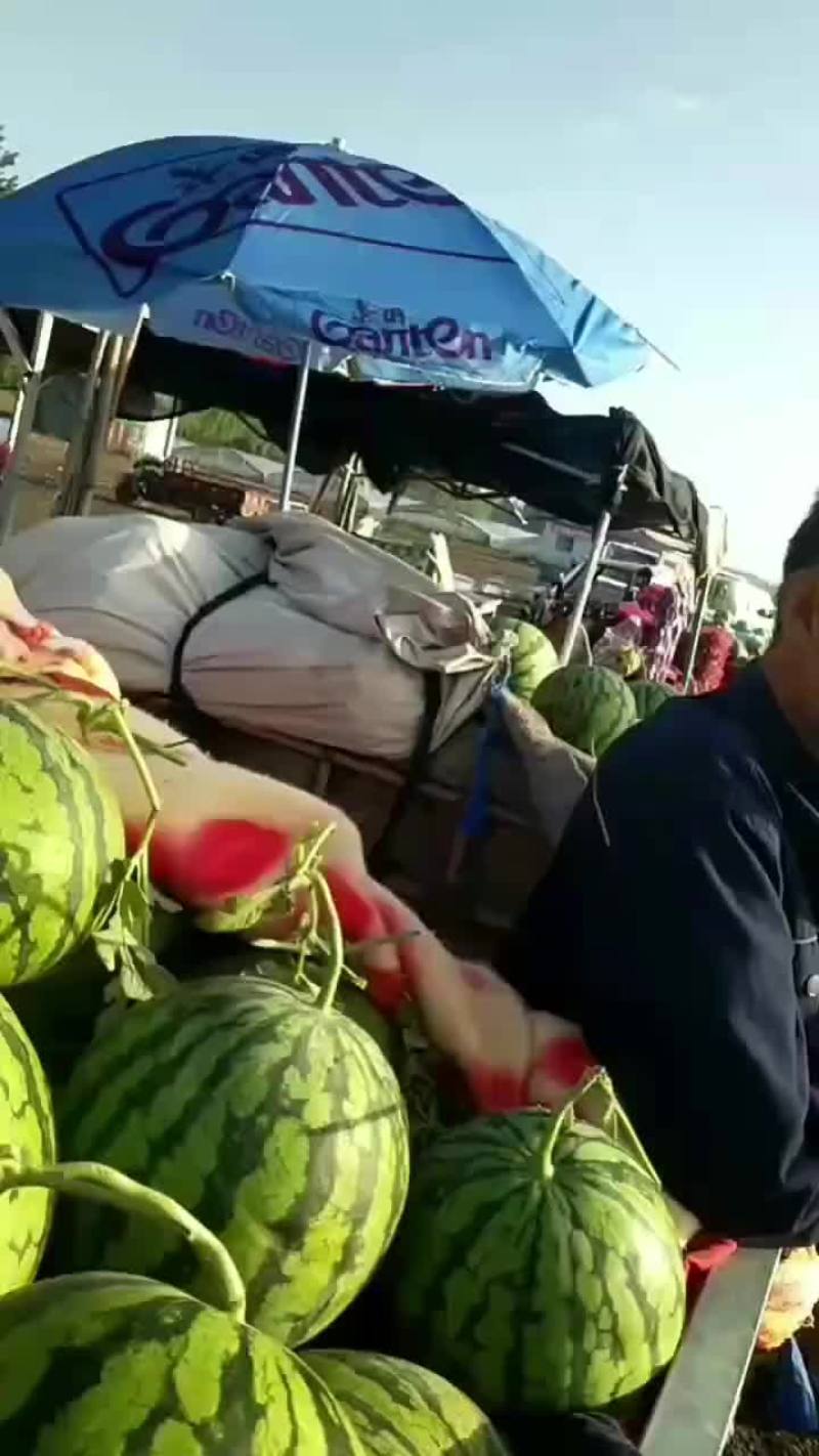 8424.花白包菜，甜王西瓜，板栗南瓜，油桃