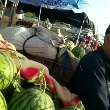 8424
