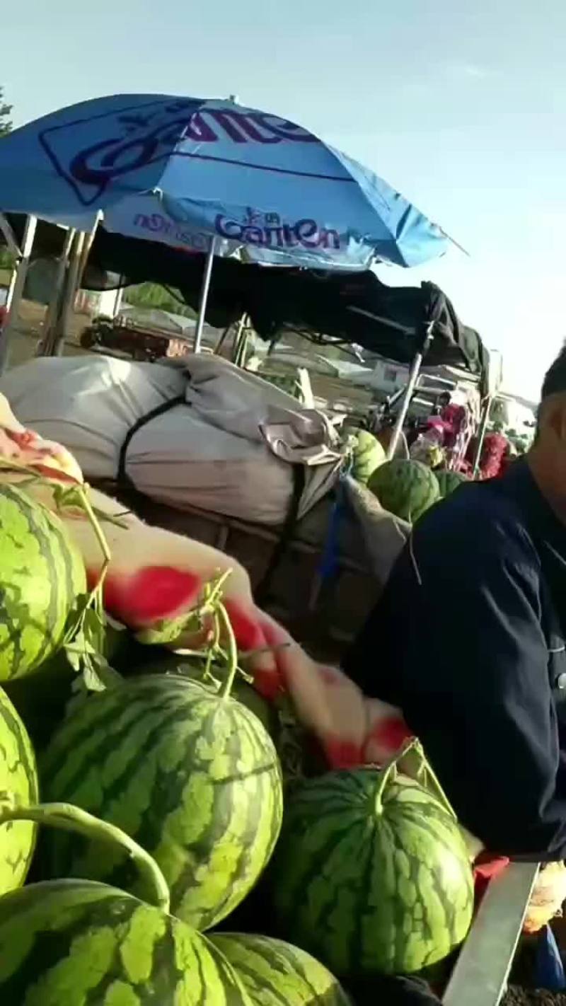 8424