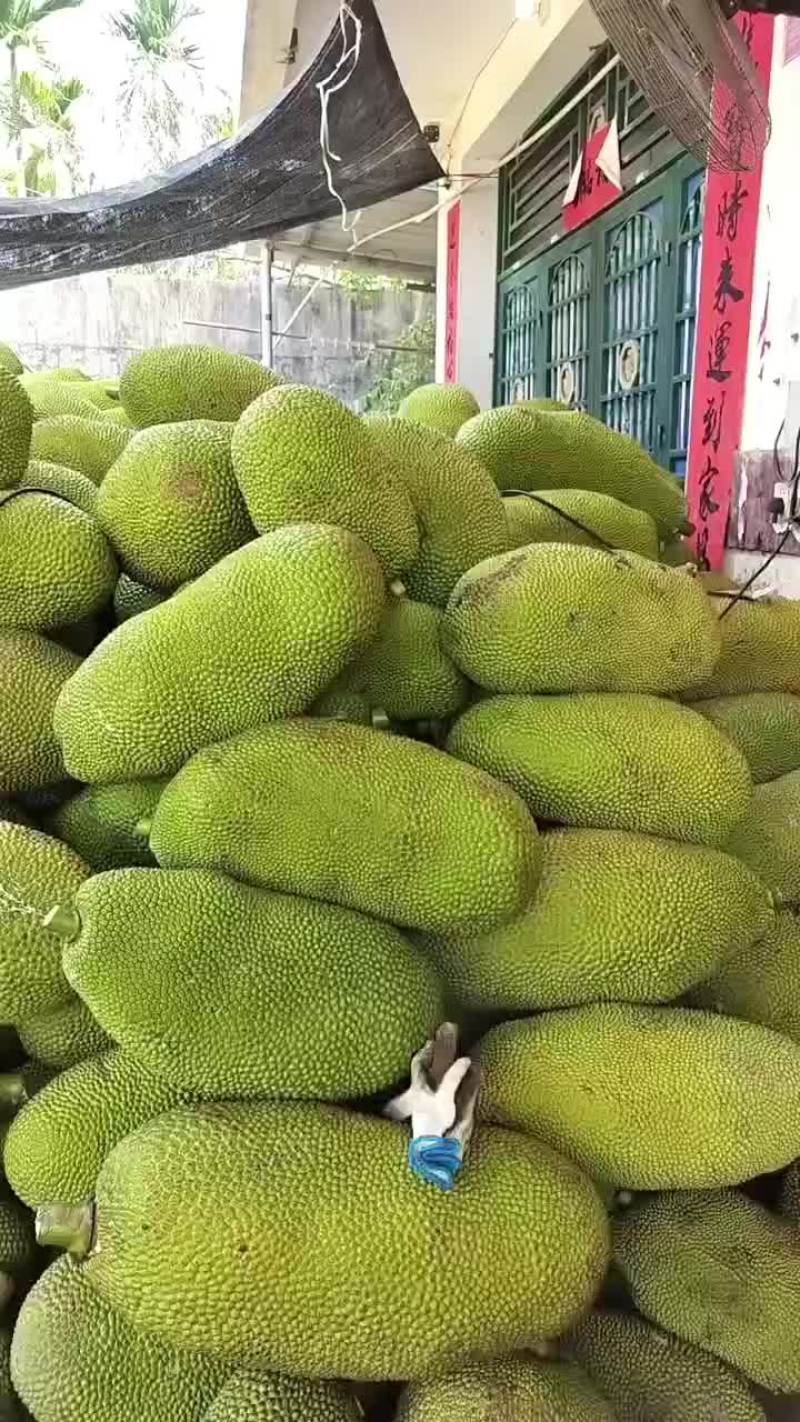 菠萝蜜