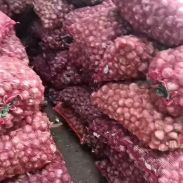 干货