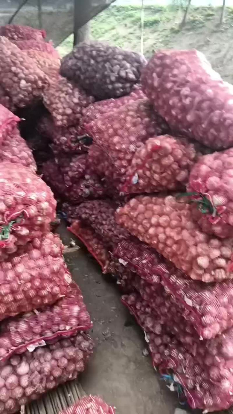 干货