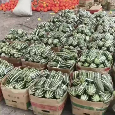 各种甜瓜大落价