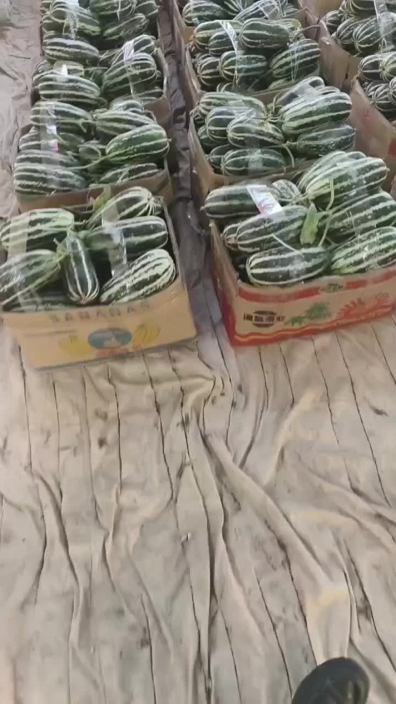 各种甜瓜大落价