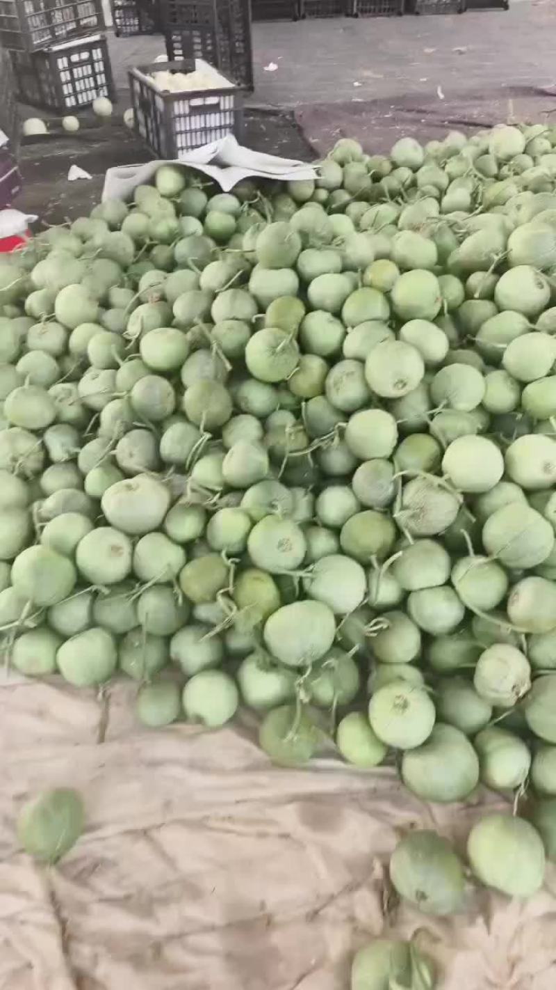 各种甜瓜大落价