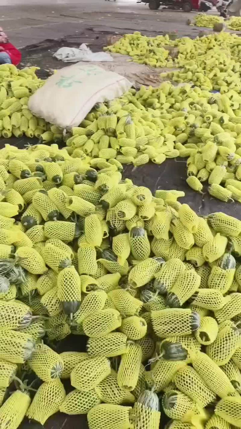 各种甜瓜大落价