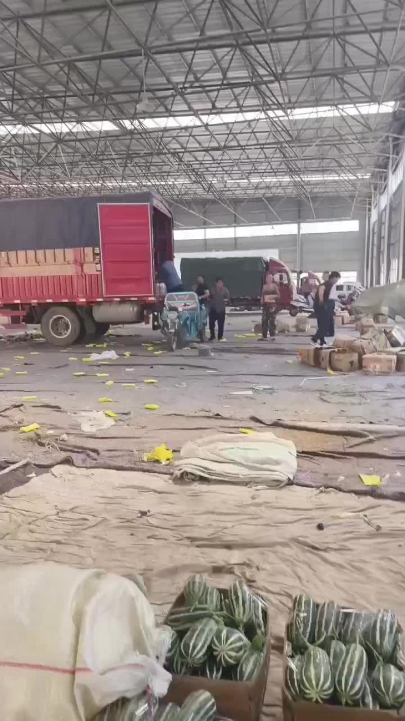 各种甜瓜大落价