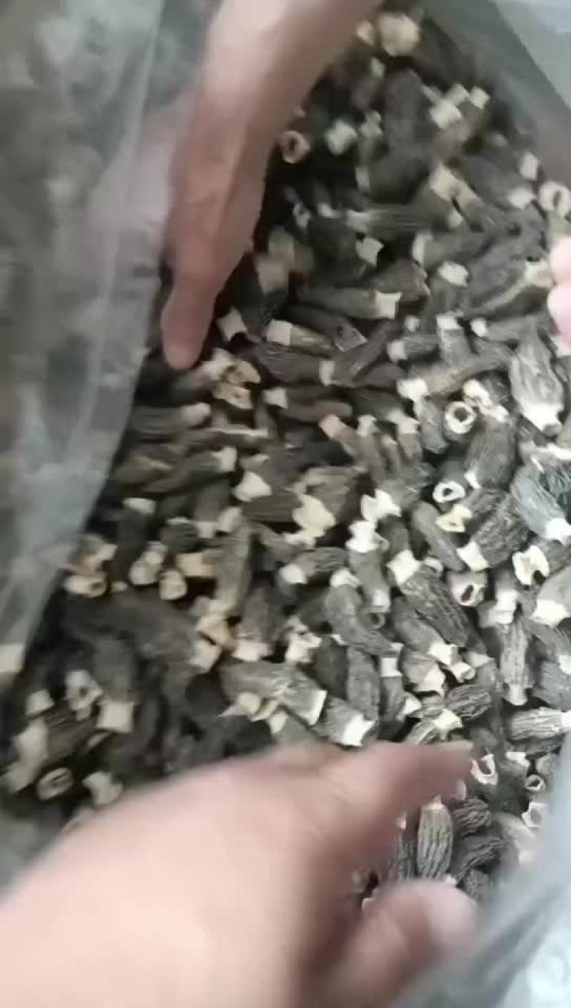 羊肚菌，干货羊肚菌各种规格，产地批发零售