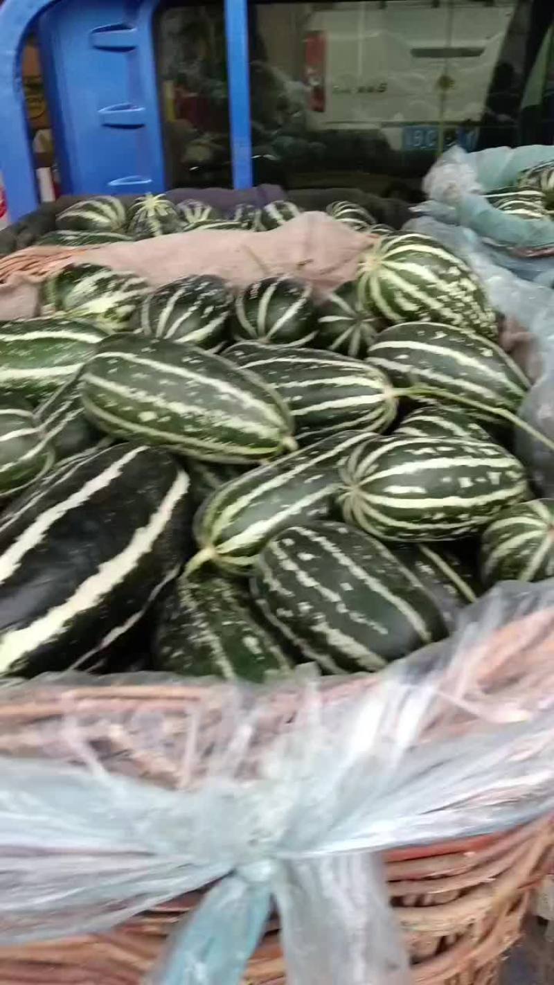 乐亭县冷棚二茬甜瓜大量上市品种齐全口感不错