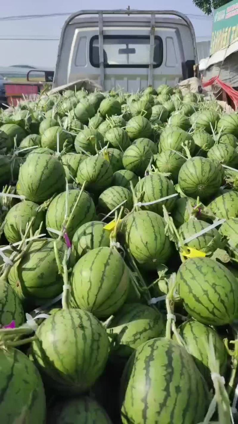 小掉西瓜，二茬