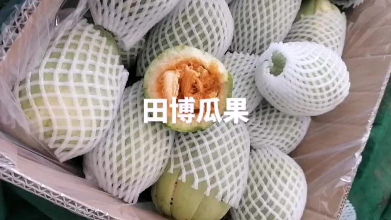 芝麻瓜量上巿中