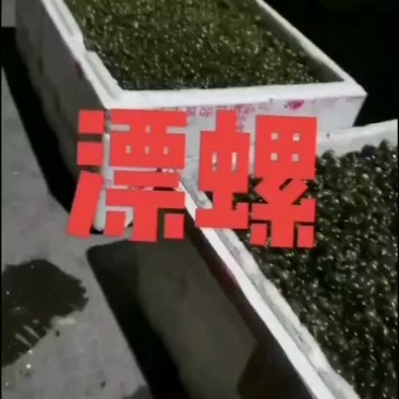 蚂蝗开口饲料