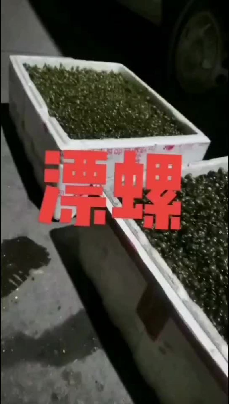 蚂蝗开口饲料