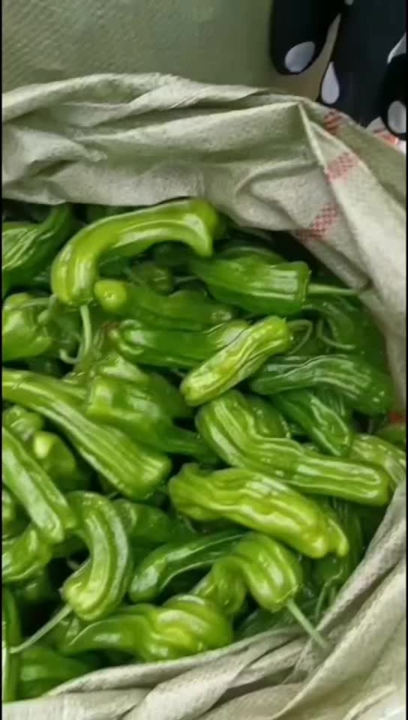 精品川椒苏椒